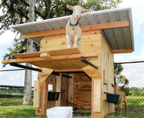 goat shelter designs